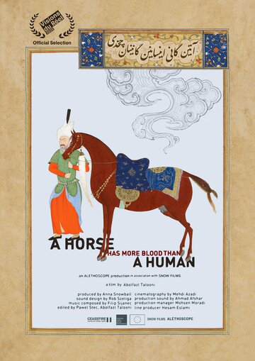 A Horse Has More Blood Than A Human