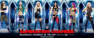 WWE Камера ликвидации