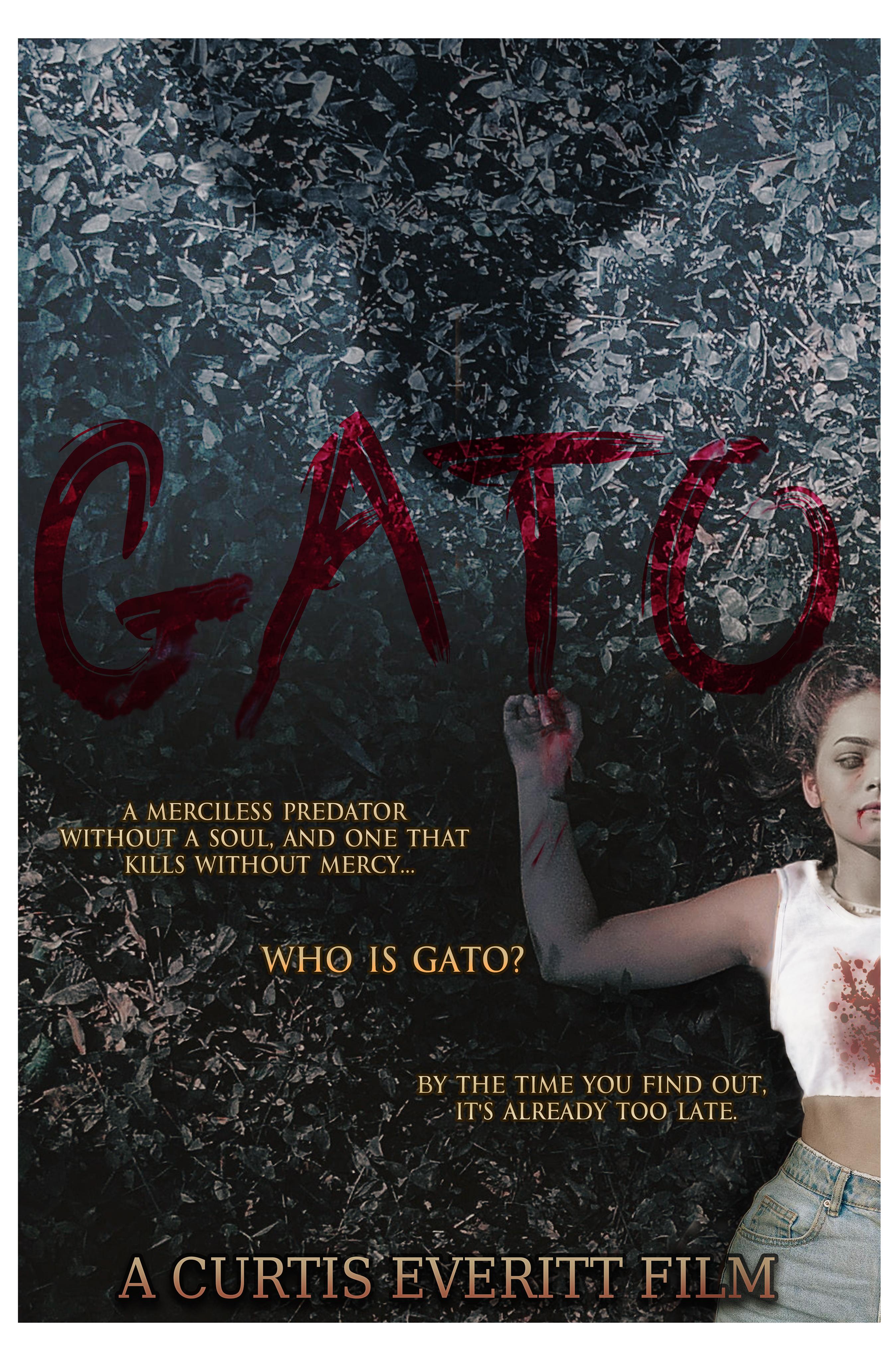 Gato