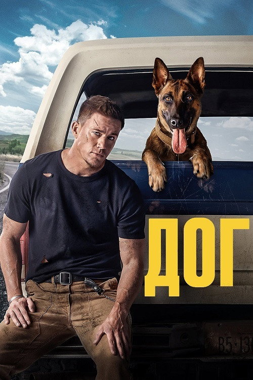 Dog - Das Glück hat vier Pfoten