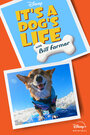 It's A Dog's Life