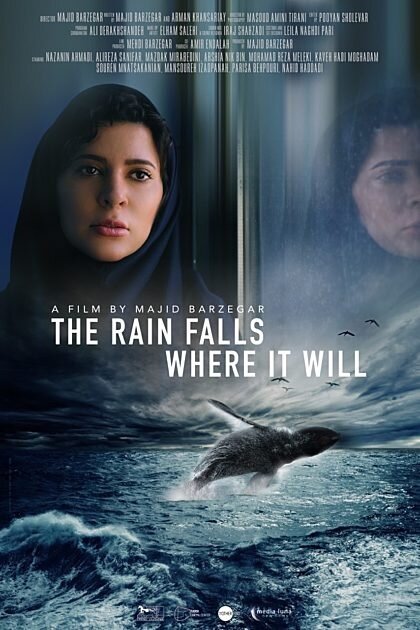 The Rain Falls Where it Will