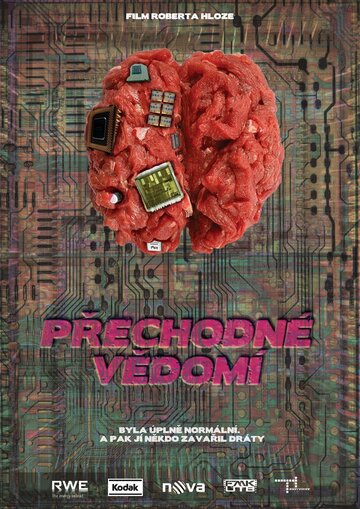 Prechodne Vedomi