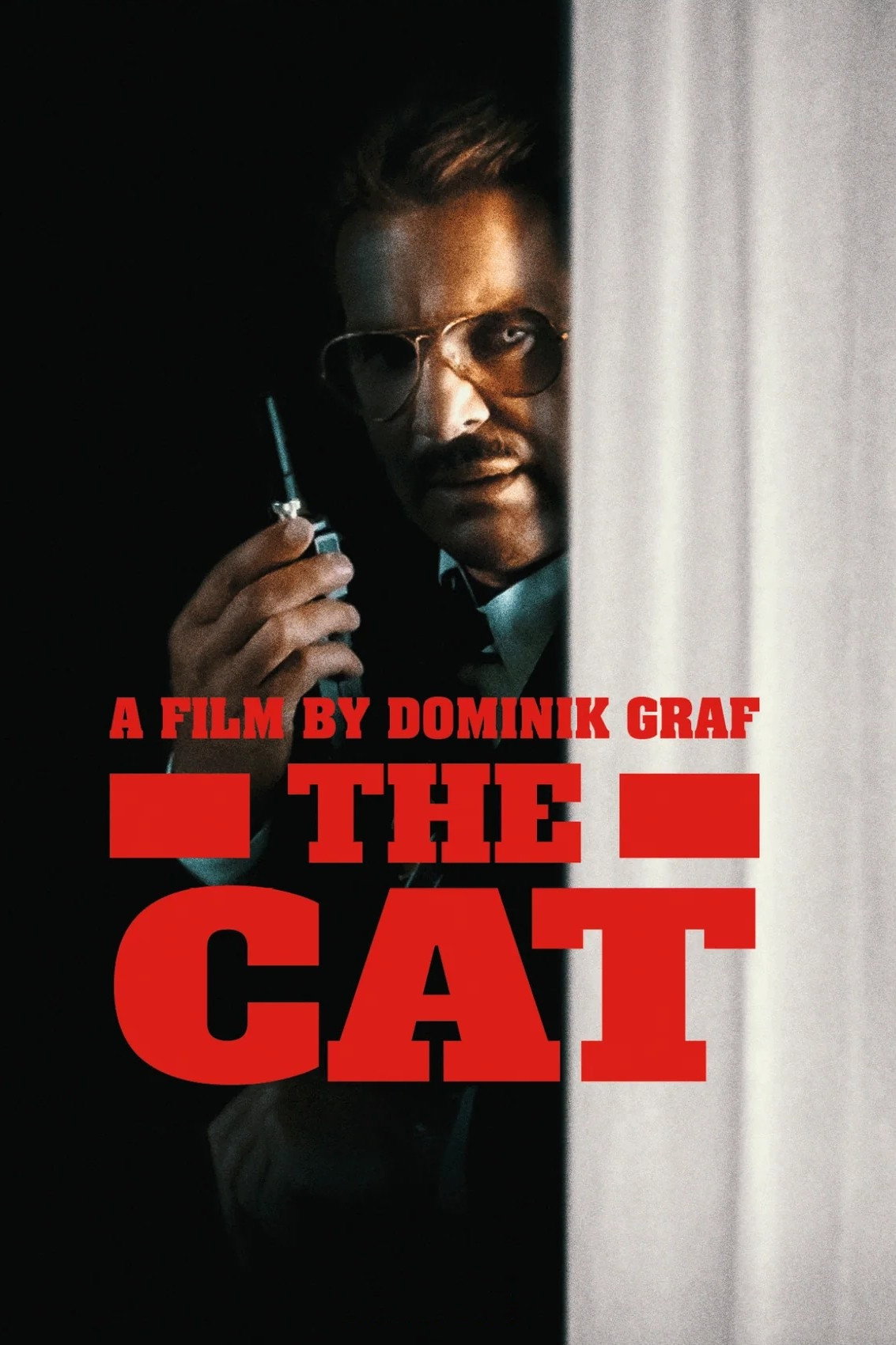 Die Katze