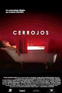 Cerrojos