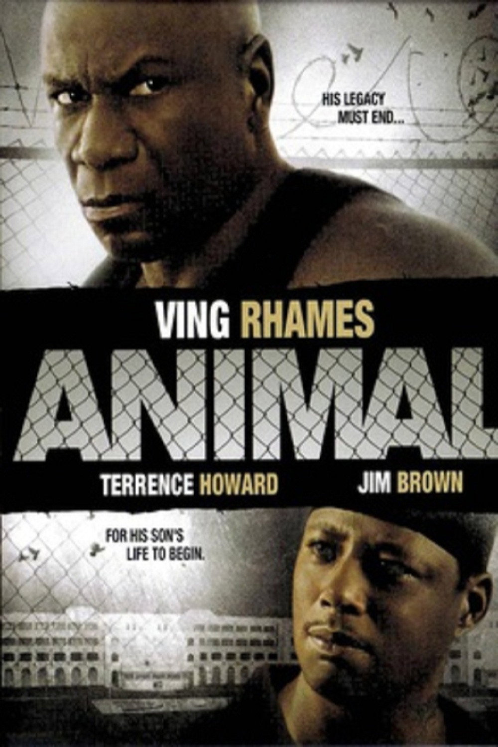 Animal - Gewalt hat einen Namen