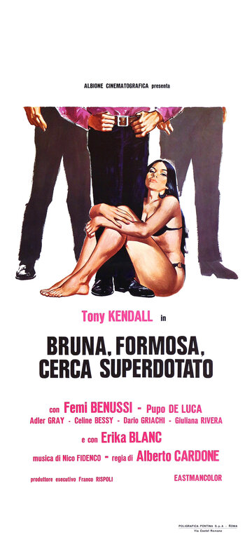 Bruna, formosa, cerca superdotato