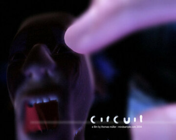 Circuit