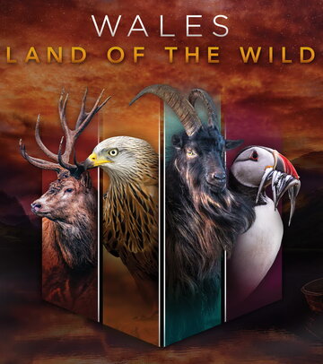 Wales: Land of the Wild