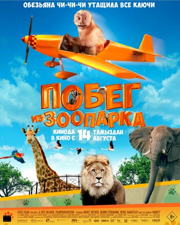 Побег из зоопарка