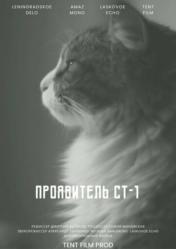 Проявитель СТ-1