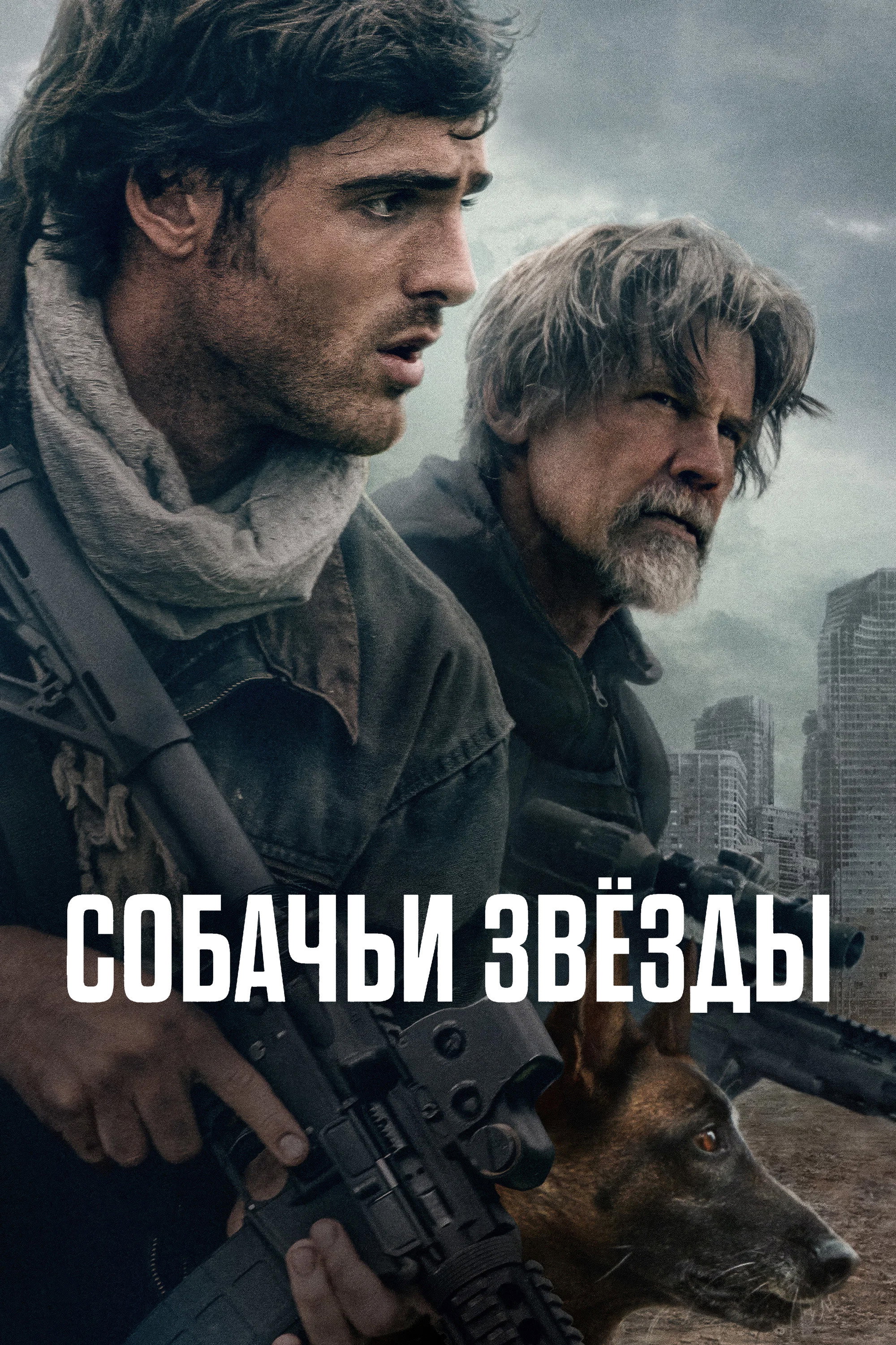 Собачьи звёзды (2026)