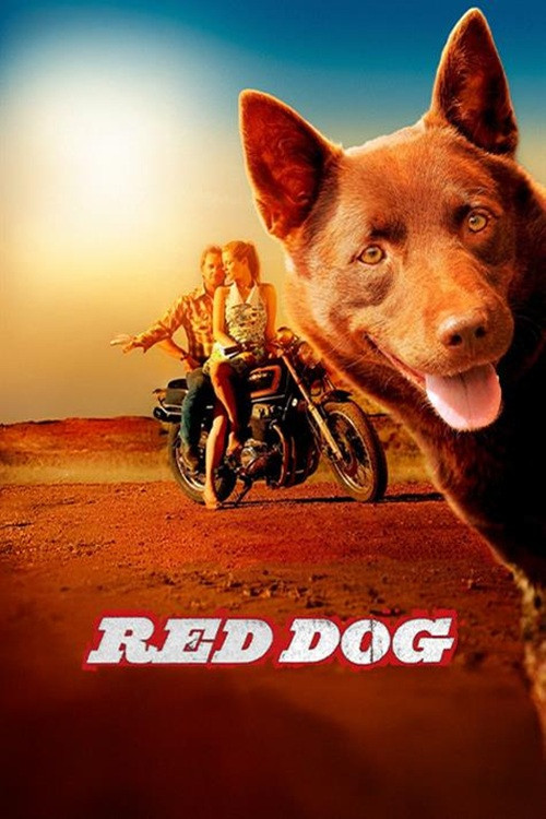 Red Dog