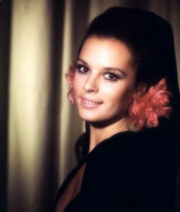 Hülya Koçyigit