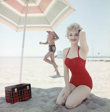 Venetia Stevenson